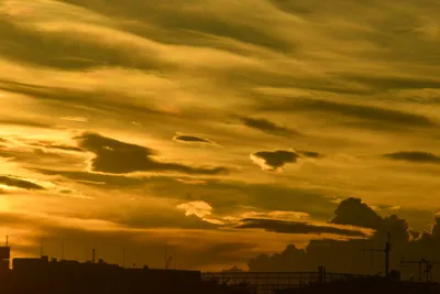 DSC_3813 (Large).JPG